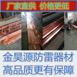 加工定做铜包钢扁铁 型号齐全，支持验厂的专业之选